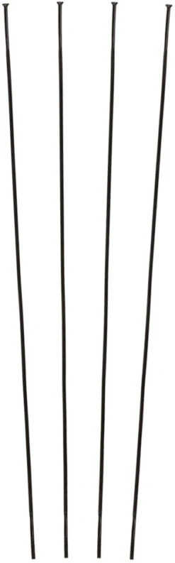 Campagnolo® Zonda C17 Ersatzspeichen Ab Modell 2016